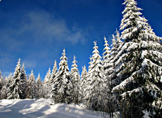 Thumbnail image for 30 Things You Should Know Before Moving To Norway