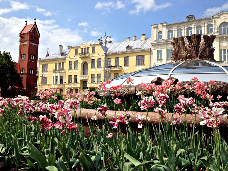 Spring time flowers in Minsk