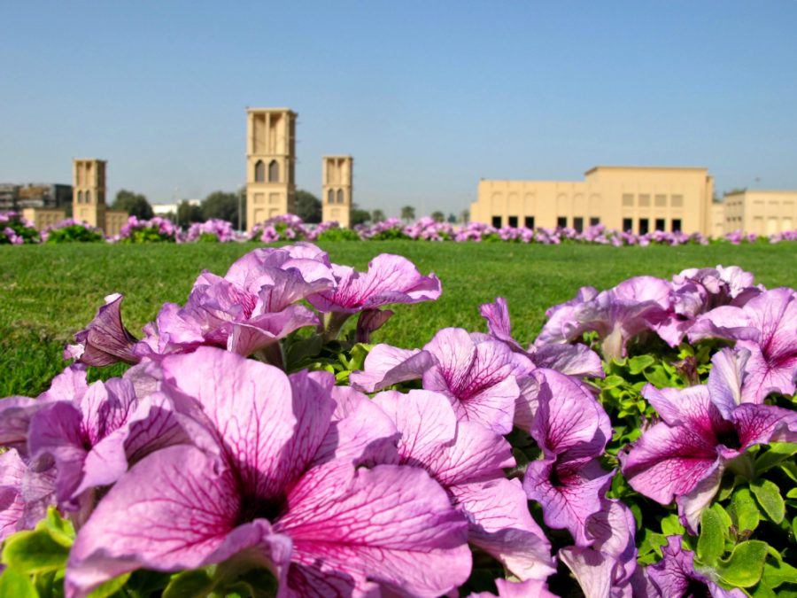 A pop of color in Dubai