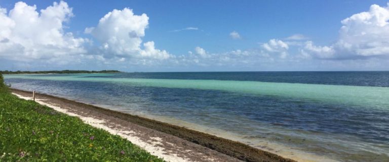 A Pit-Stop at Bahia Honda State Park