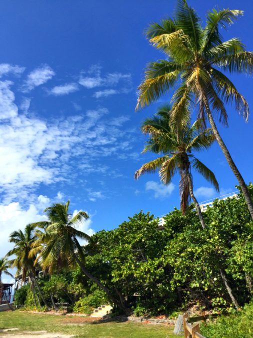 Bahia Honda State Park