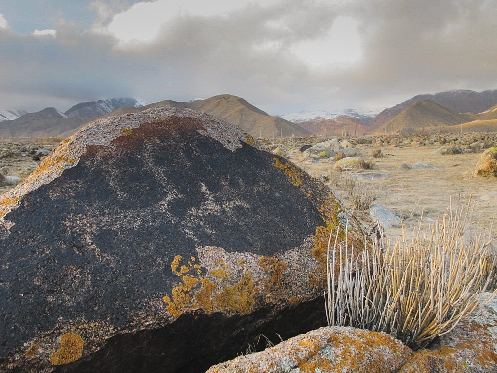 Cholpon-ata, Kyrgyzstan petroglyphs