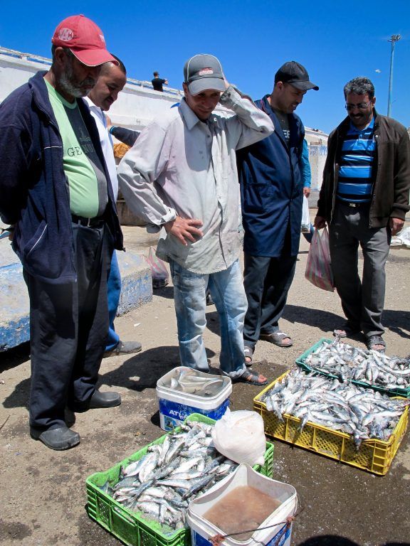 Fish market in Essaouira, Morocco