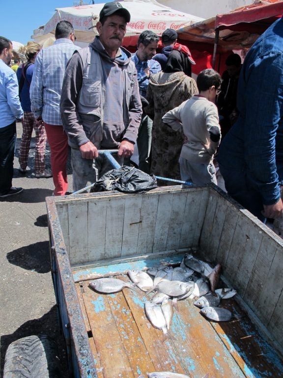 Fish market in Essaouira, Morocco
