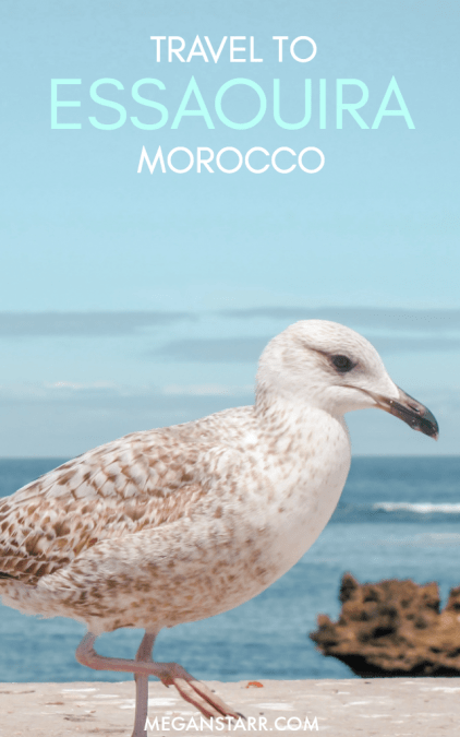 I took a day trip from Marrakech to Essaouira, Morocco and found such beautiful blue views and good vibes in the Atlantic port city.