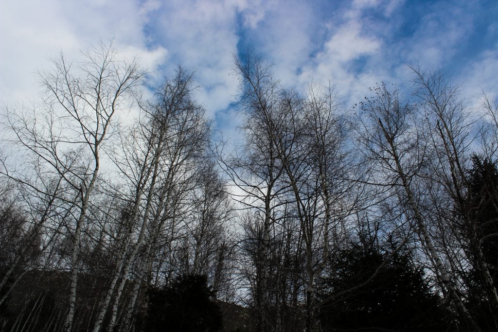 Ala Archa National Park near Bishkek, Kyrgyzstan