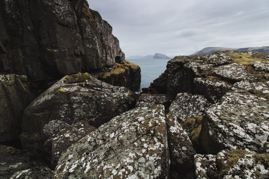 Sheep in Skopun on Sandoy in the Faroe Islands