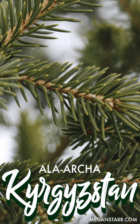 I recently took a day trip from Bishkek to Ala Archa National Park, a nature reserve outside of the city that is home to a river, glacier, and waterfall.