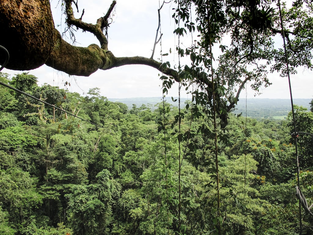 Canopying through La Fortuna, Costa Rica