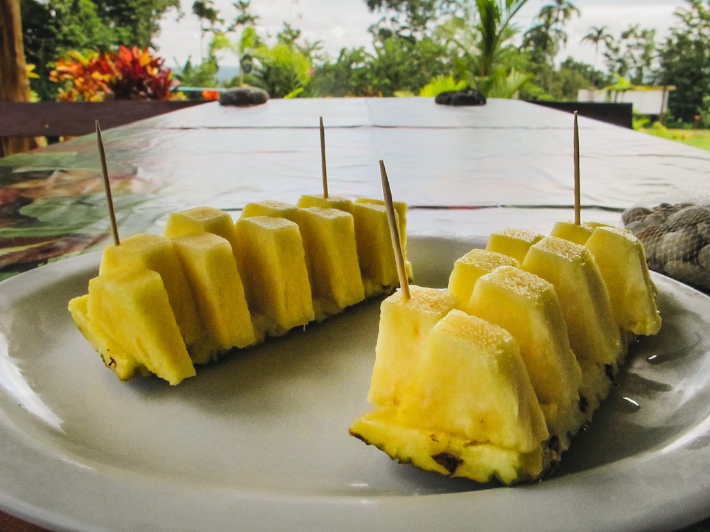 Canopying through La Fortuna, Costa Rica