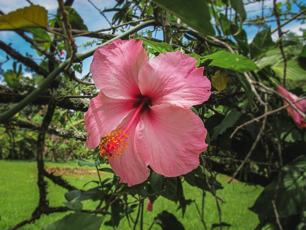 La Fortuna, Costa Rica