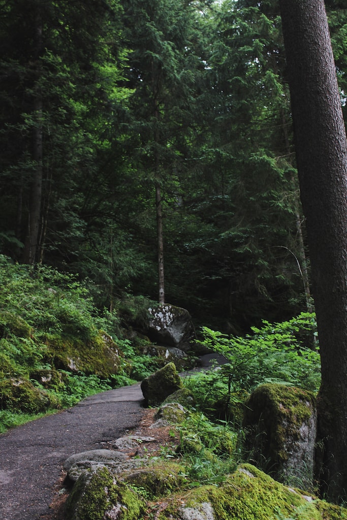 Triberg waterfall in germany highest waterfall in germany black forest