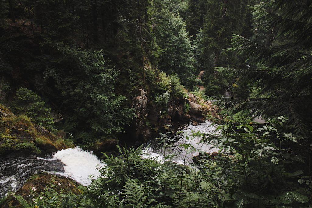 Triberg waterfall in germany highest waterfall in germany