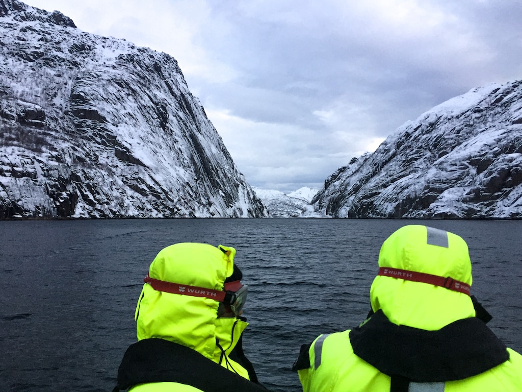 sea eagle rib safari with lofoten explorer down the trollfjord in svolvær lofoten islands norway