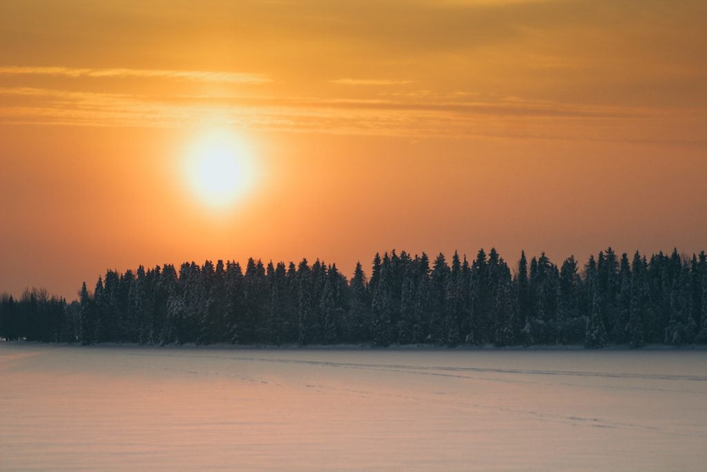 finland wilderness kuusamo trees