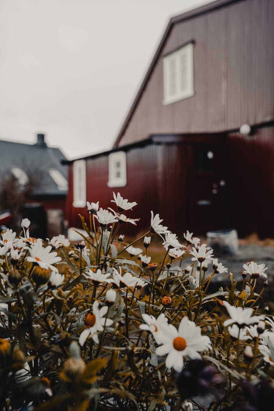 What to know before you travel to the Faroe Islands