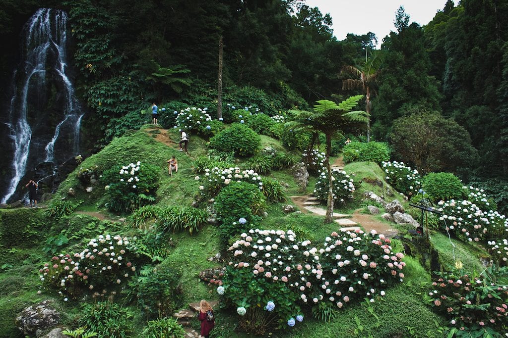 Parque Natural da Ribeira dos Caldeiroes forest in sao miguel azores