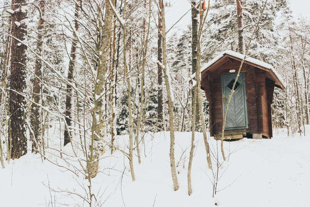 Nuuksio National Park: The Most Beautiful Winter Day Trip From Helsinki in forest