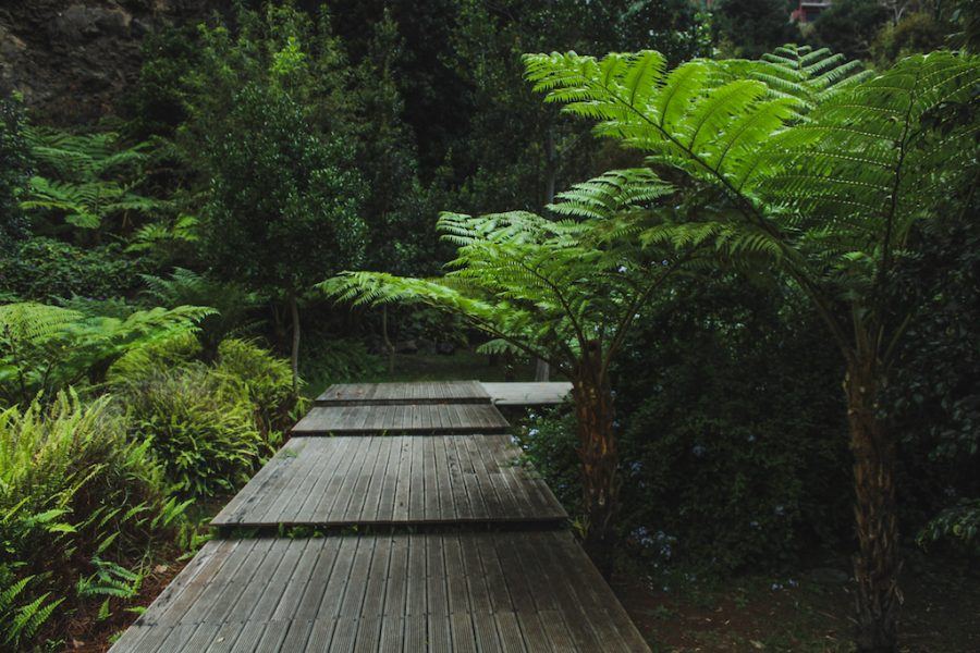 Madeira Hidden Gems: A Complete Travel Guide to Sao Vicente, Madeira hiking from sao vicente to seixal sao vicente caves and volcanism center