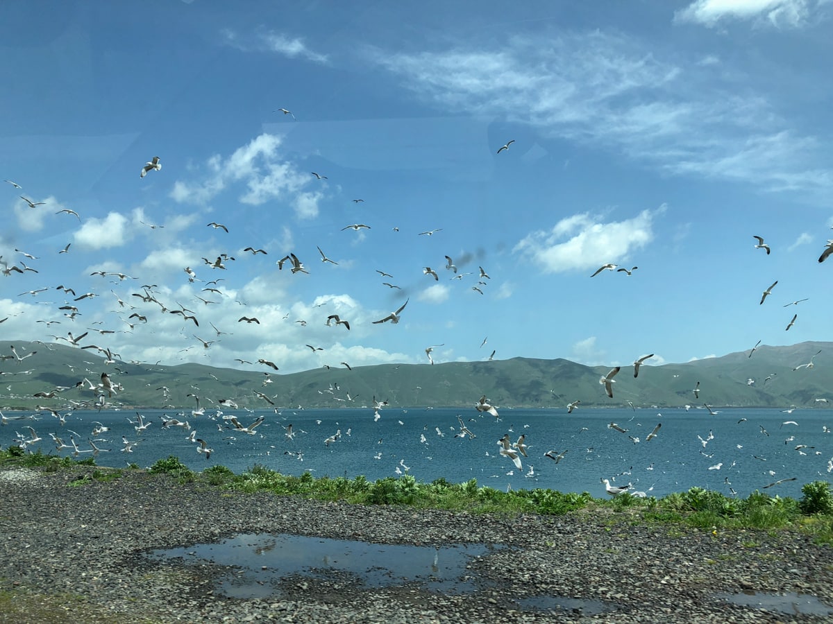 lake sevan Things to Do in Yerevan, Armenia