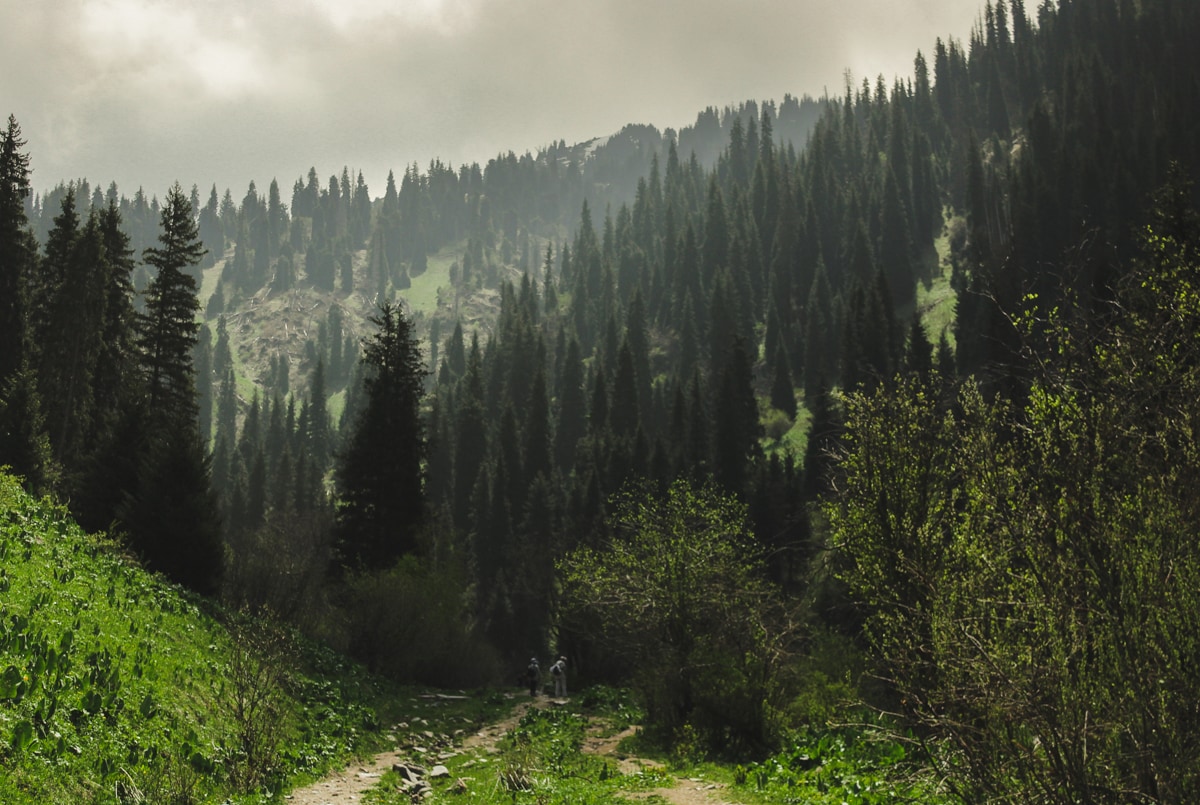 Hiking to Butakovskiy Waterfall in Almaty: Kazakhstan Nature at its Finest and a Day Trip from Almaty