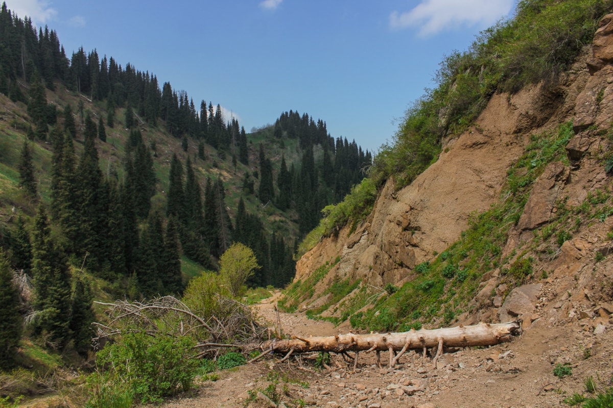 Hiking to Butakovskiy Waterfall in Almaty: Kazakhstan Nature at its Finest and a Day Trip from Almaty