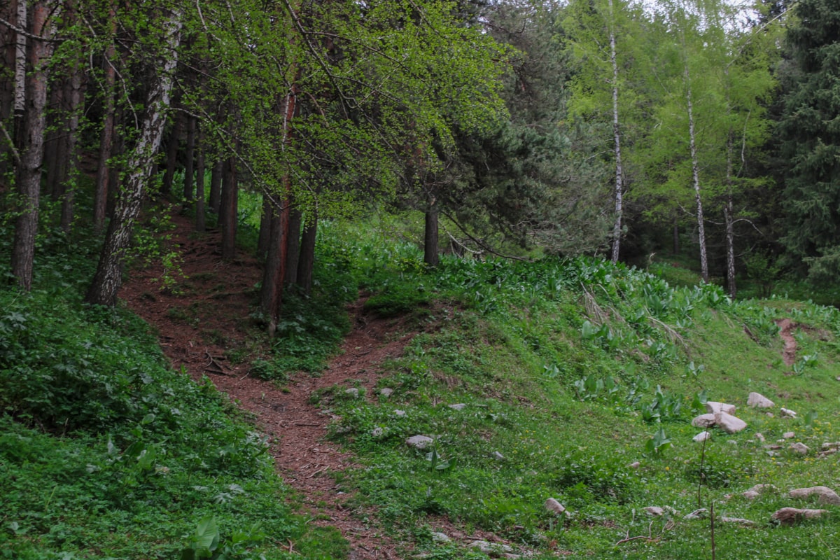 Hiking to Butakovskiy Waterfall in Almaty: Kazakhstan Nature at its Finest and a Day Trip from Almaty