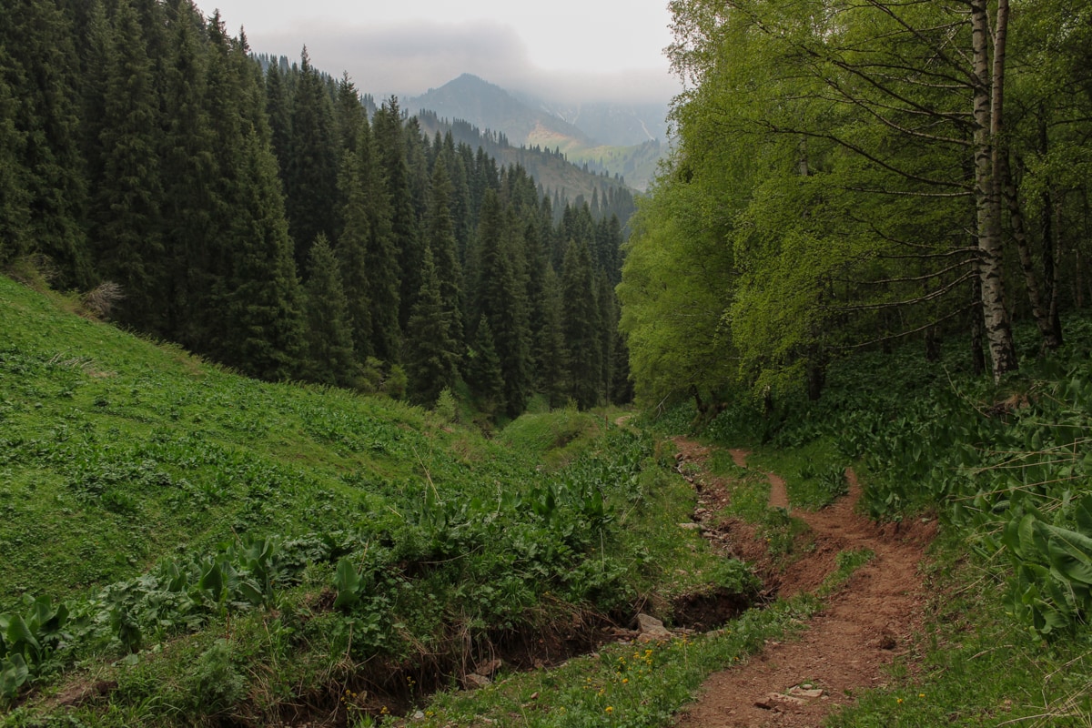 Hiking to Butakovskiy Waterfall in Almaty: Kazakhstan Nature at its Finest and a Day Trip from Almaty