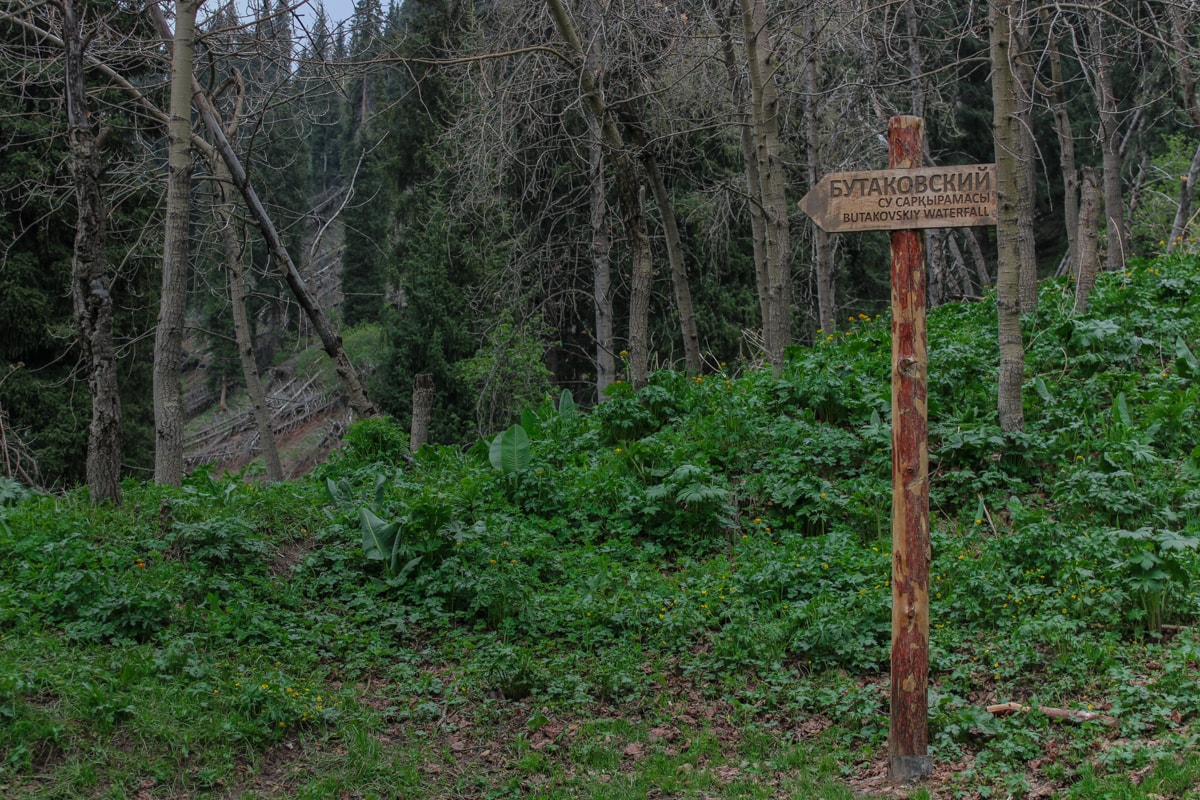 Hiking to Butakovskiy Waterfall in Almaty: Kazakhstan Nature at its Finest and a Day Trip from Almaty sign