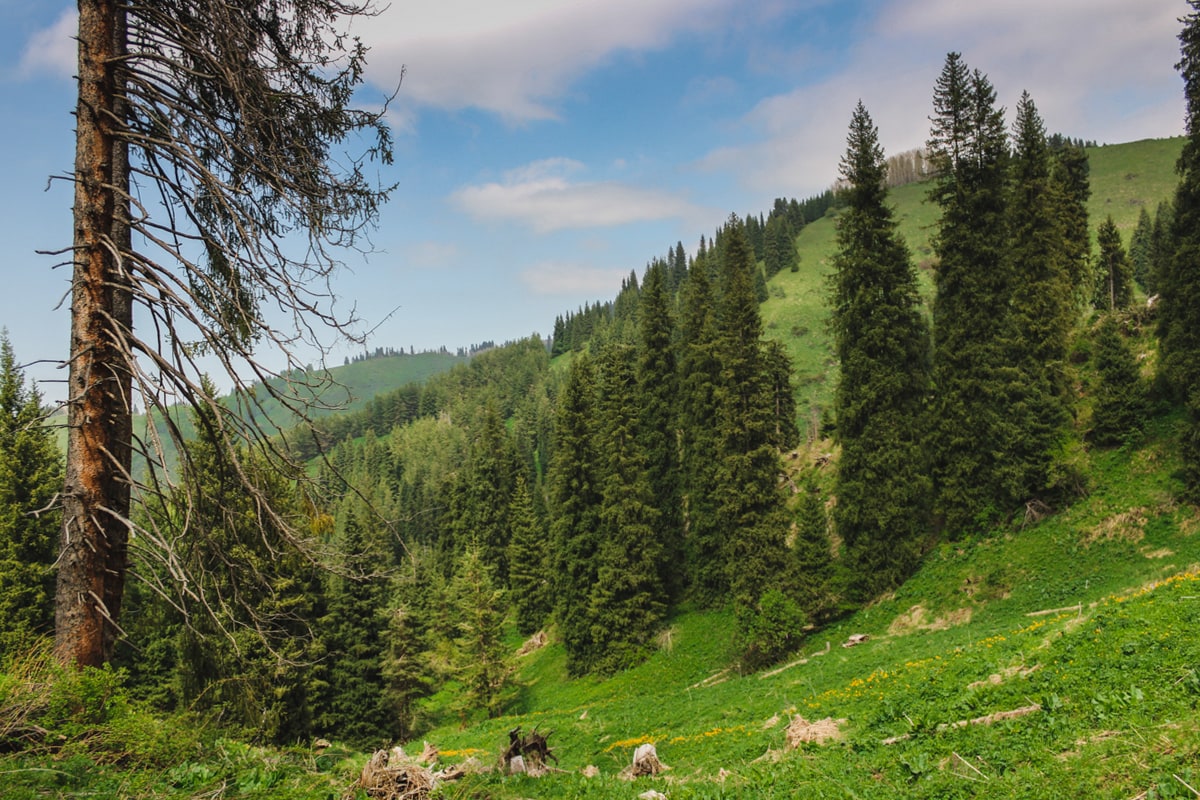 Hiking to Butakovskiy Waterfall in Almaty: Kazakhstan Nature at its Finest and a Day Trip from Almaty