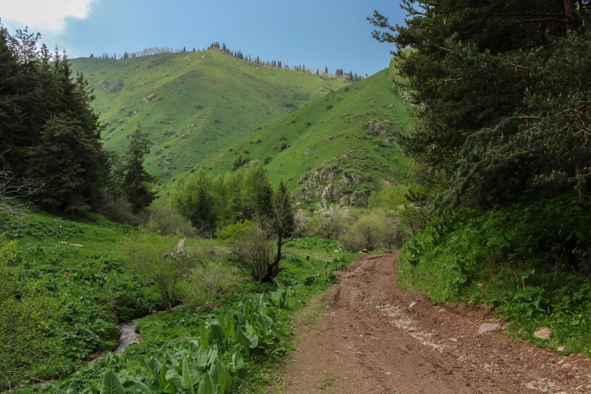 Hiking to Butakovskiy Waterfall in Almaty: Kazakhstan Nature at its Finest and a Day Trip from Almaty