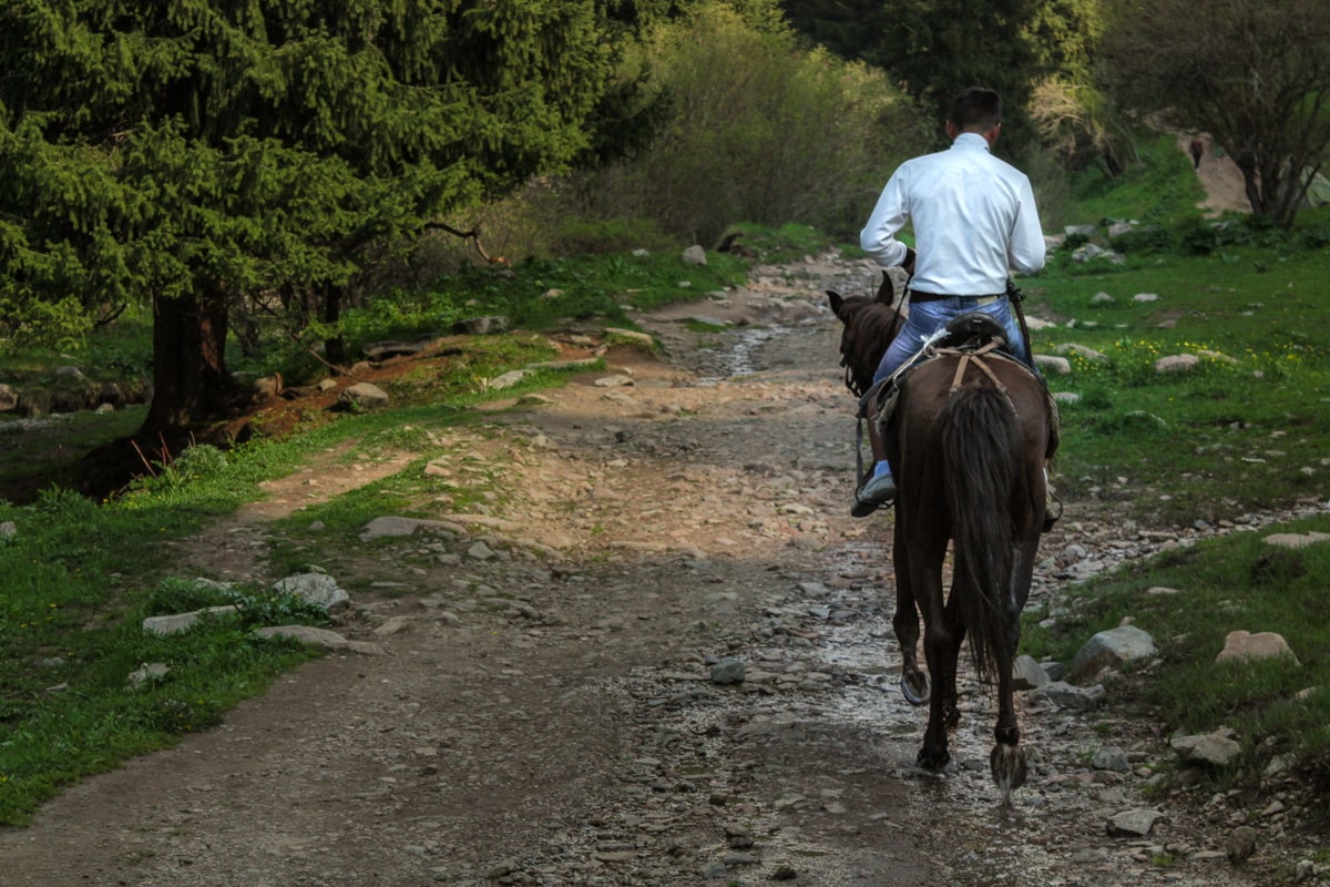 Hiking to Butakovskiy Waterfall in Almaty: Kazakhstan Nature at its Finest and a Day Trip from Almaty horse and local