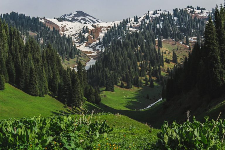 Hiking to Butakovskiy Waterfall in Almaty: Kazakhstan Nature at its Finest and a Day Trip from Almaty mountain