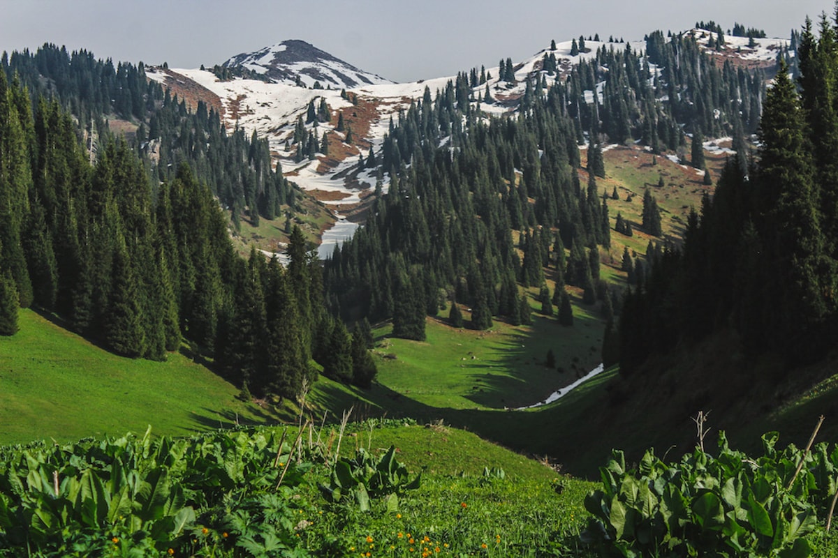 Hiking to Butakovskiy Waterfall in Almaty: Kazakhstan Nature at its Finest and a Day Trip from Almaty mountain