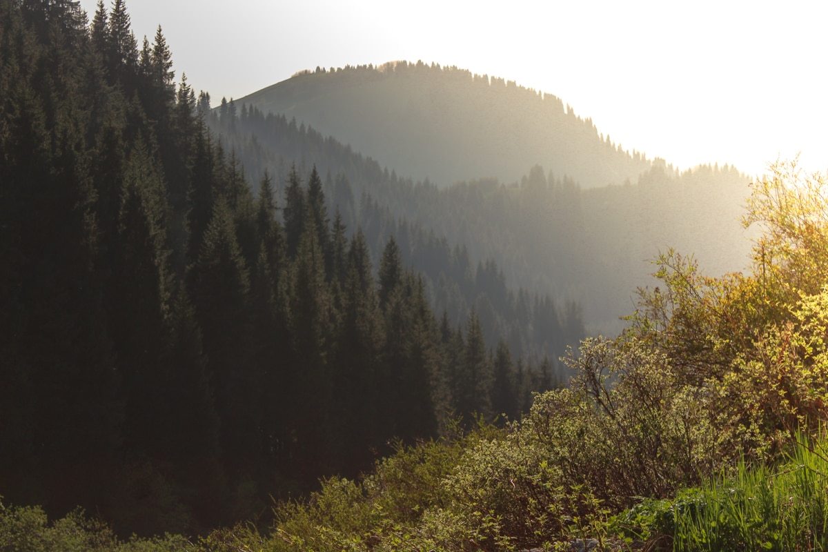 Hiking to Butakovskiy Waterfall in Almaty: Kazakhstan Nature at its Finest and a Day Trip from Almaty dusk