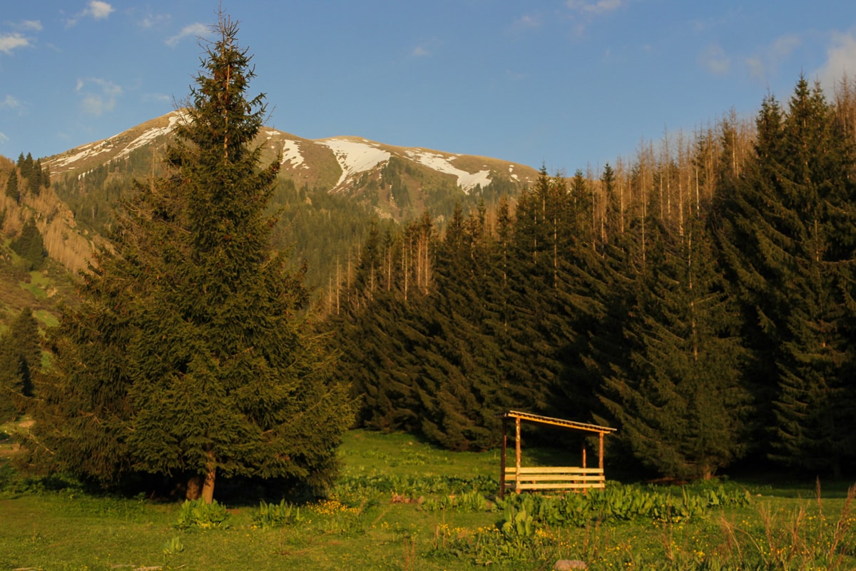 Hiking to Butakovskiy Waterfall in Almaty: Kazakhstan Nature at its Finest and a Day Trip from Almaty mountain