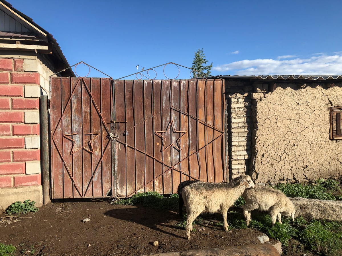 Central Asia Travel Tips: 50 Things to Know and Do Before You Visit kyzart village near song kul in kyrgyzstan
