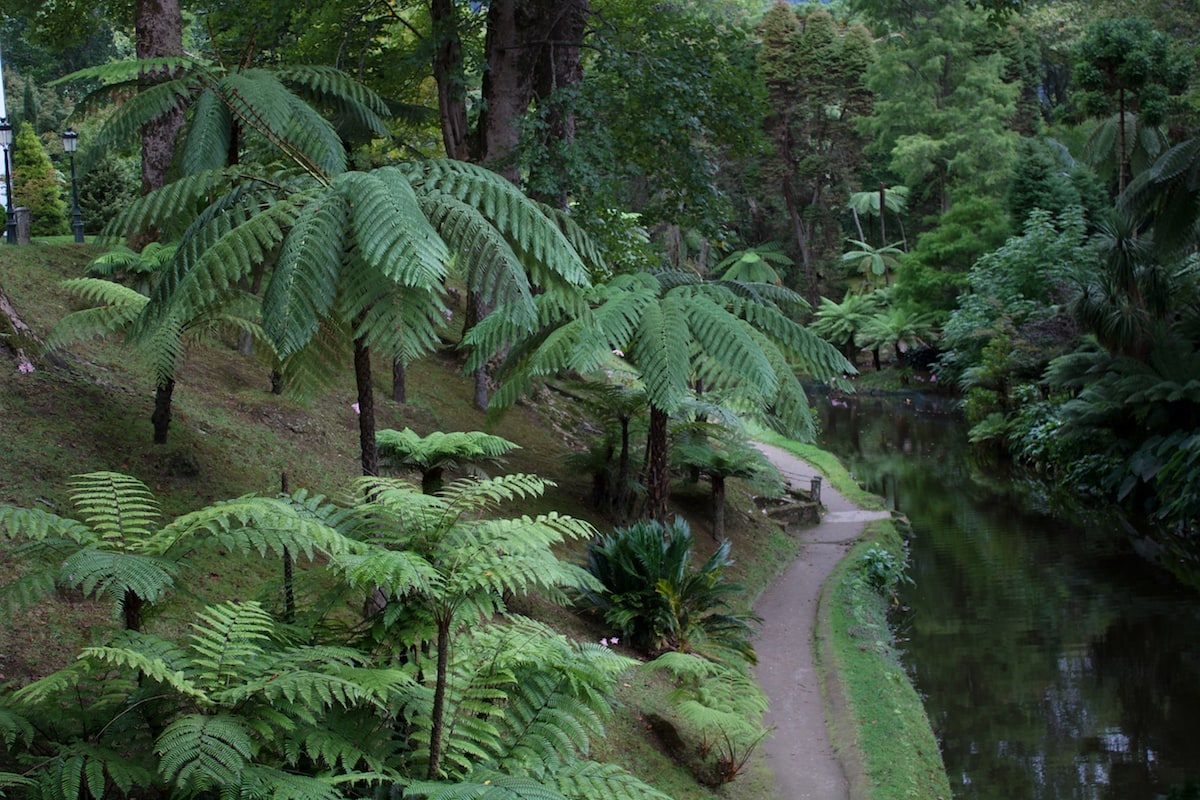 Best Azores Tours: How to Visit Sao Miguel, Azores Without a Car