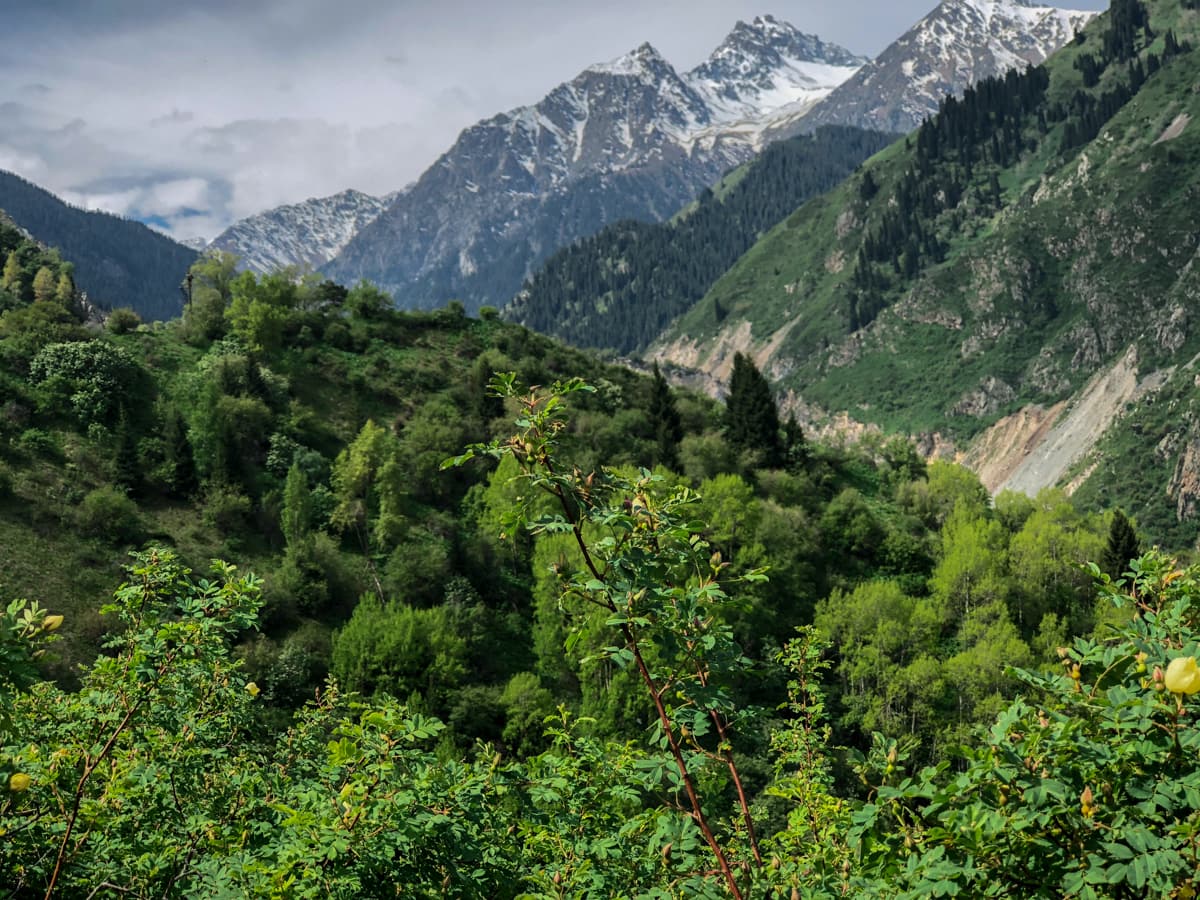 Lake Issyk, Kazakhstan: A Turquoise Slice of History and Pleasure Near Almaty