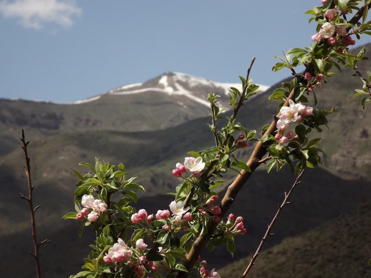 25 Amazing Places to Visit in Armenia - Vayots Dzor Province - Photo from Zofia Baldyga from The Picktures Travel Blog