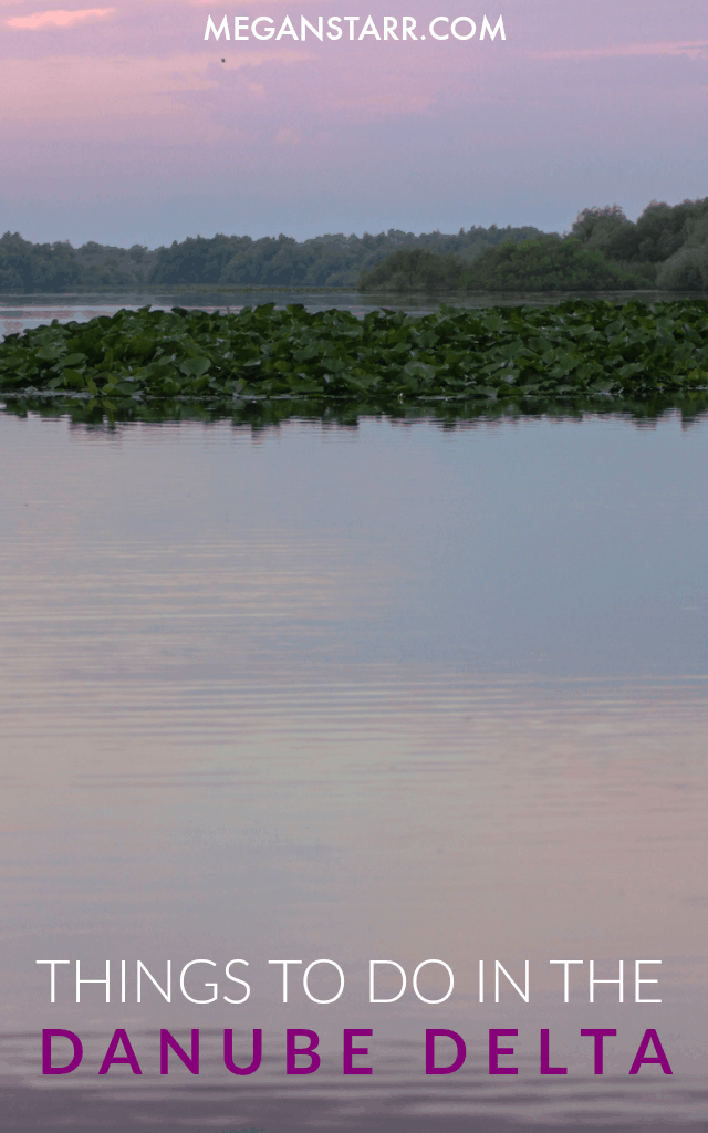 There are so many things to do in the Danube Delta in Romania. These are some of the best places to visit in the Danube Delta Biosphere Reserve. #danube #danubedelta #romania #tulcea #bird #wine