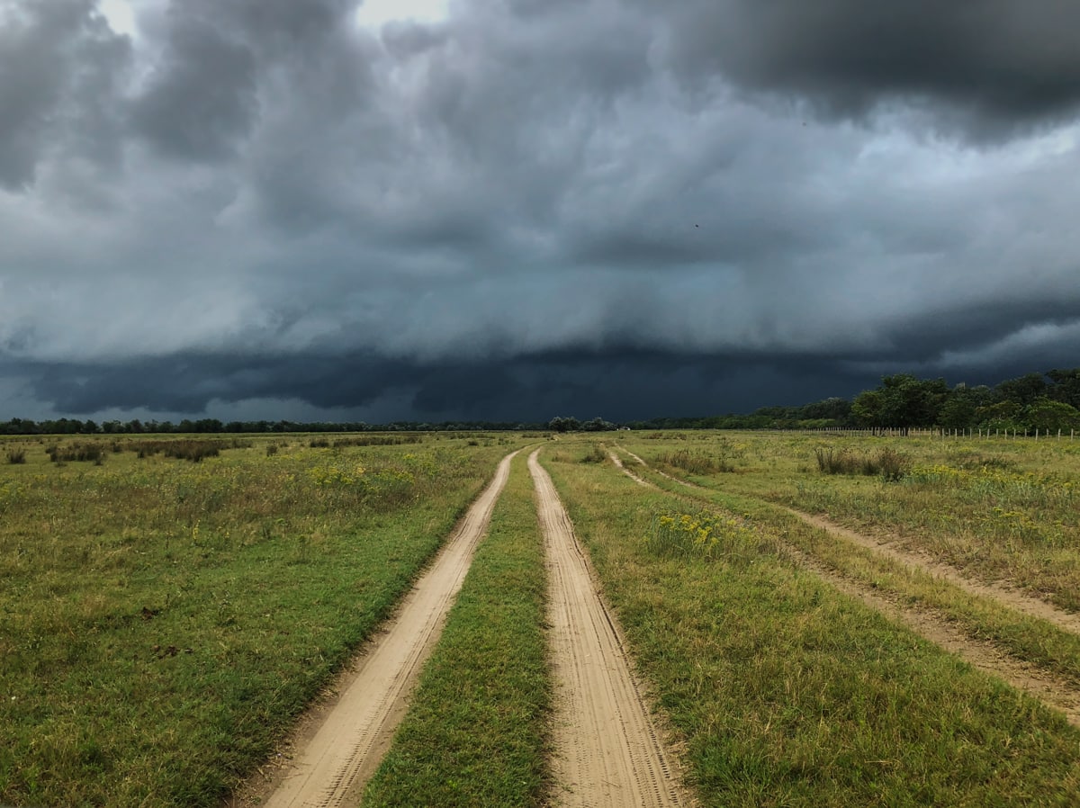 20 Things to Do in the Danube Delta, Romania - Europe's Best-Kept Secret Storm coming through Letea Forest and Village while on a safari in the Danube Delta Biosphere Reserve