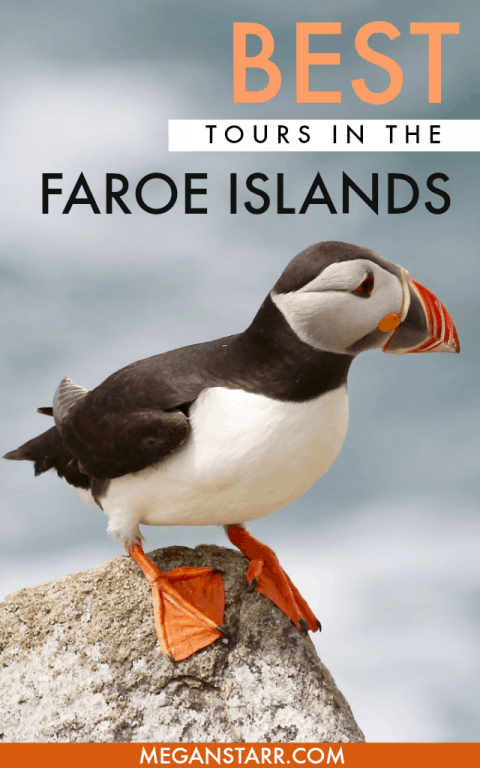 Faroe Islands Tours and Excursions: From Seeing the Puffins on Mykines to the Bird Cliffs in Vestmanna and Beyond! #faroeislands #faroes #scandinavia #nordics #islands #puffins #tours #torshavn #kalsoy