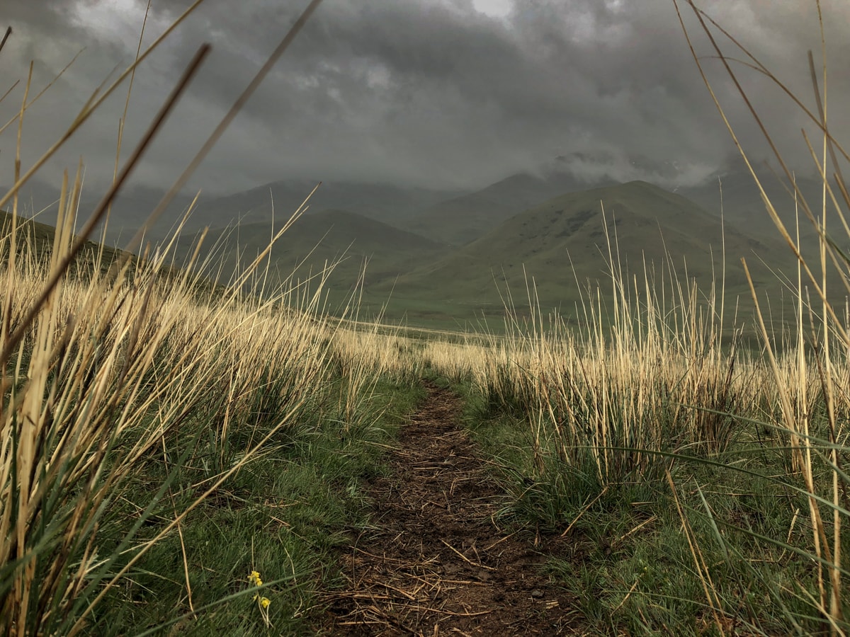 From Kyzart through Kilemche: Starry Song Kul Nights Trail in Kyrgyzstan