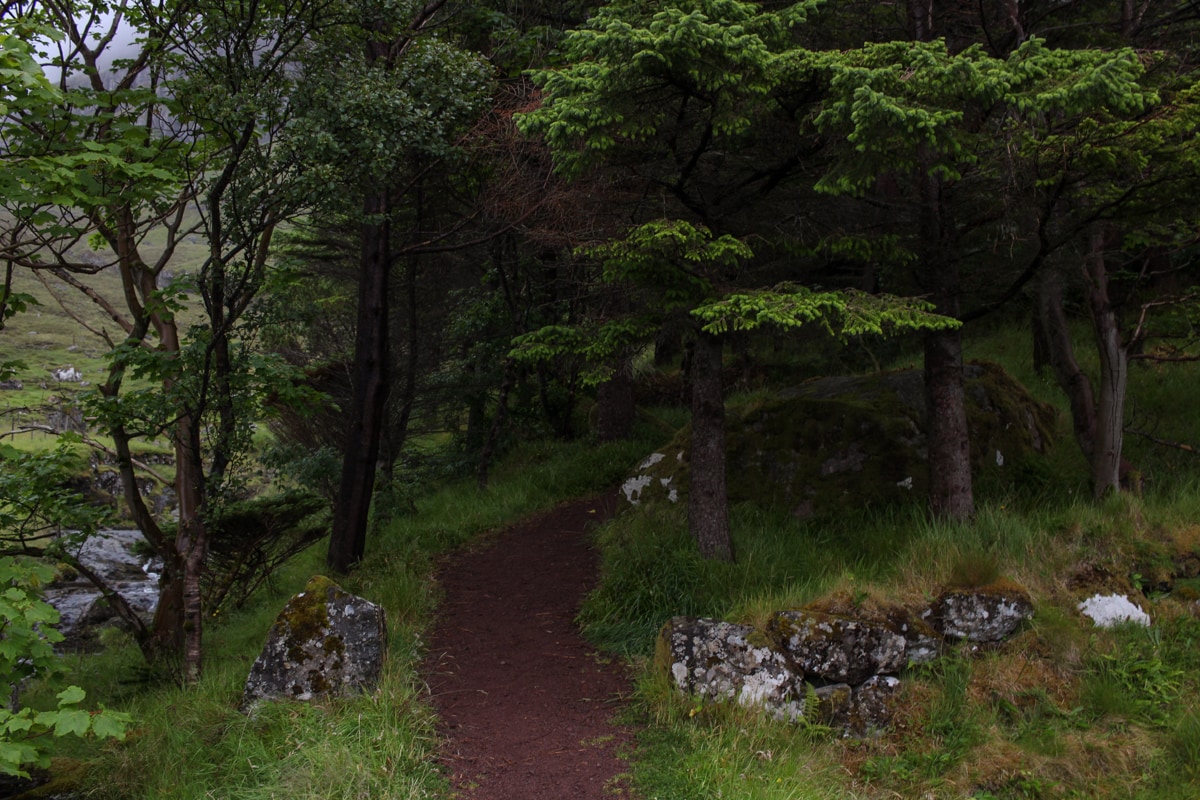 Viðarlundin Park on Kunoy is the only forest in the Faroe Islands - Visit Faroe Islands: A Guide to the Best Views and Photography Spots