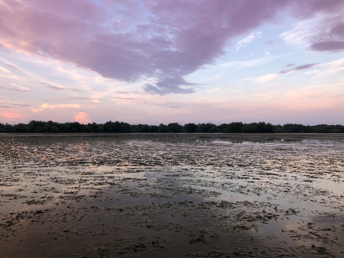 20 Things to Do in the Danube Delta, Romania - Europe's Best-Kept Secret - Sunrise on the Danube Delta Biosphere Reserve