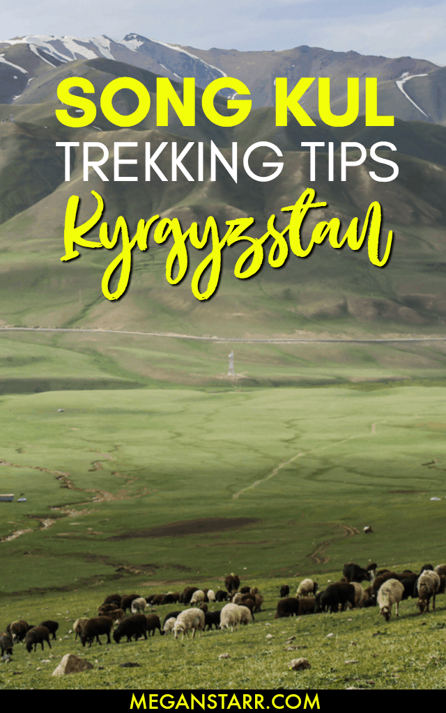Song Kul is one of the most famous lakes and trekking destinations in Kyrgyzstan. This post documents my experience on the Starry Song Kul Nights Trail from Kyzart to Kilemche. #kyrgyzstan #traveltips #trekking #trek #centralasia #songkul #songkol #naryn #jumgal #asia #hiking
