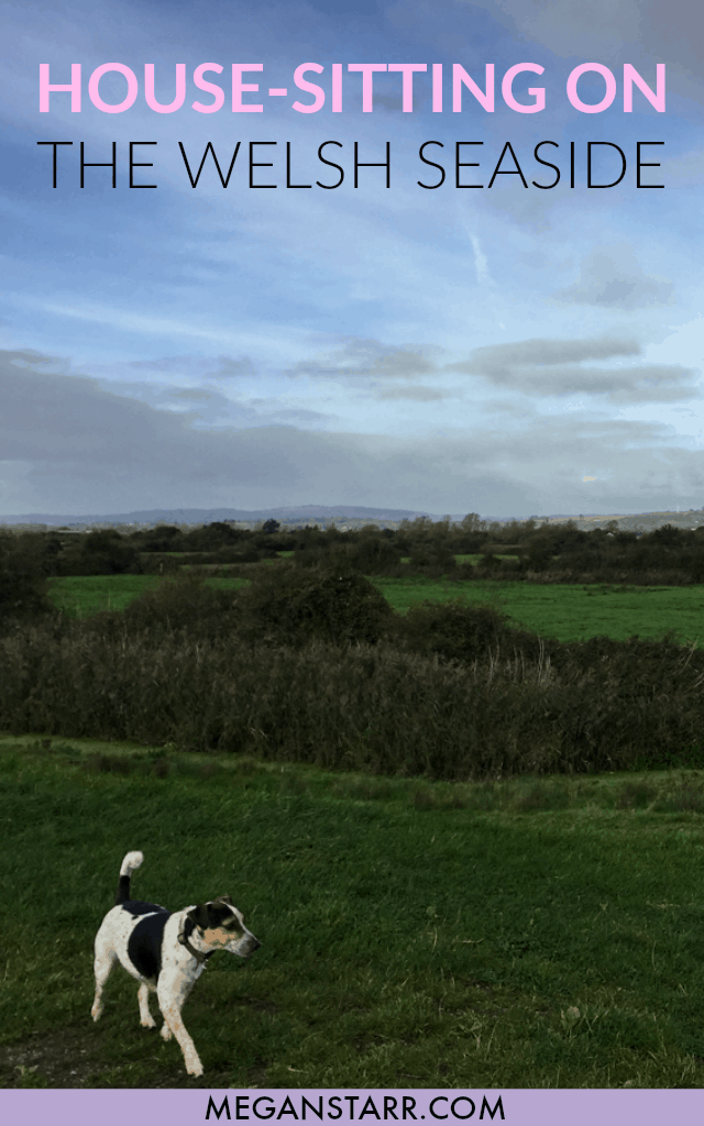 Why House-Sitting in Wales Was One of My Favorite Travel Experiences Ever #wales #housesitting #nomador #dogsitting #unitedkingdom
