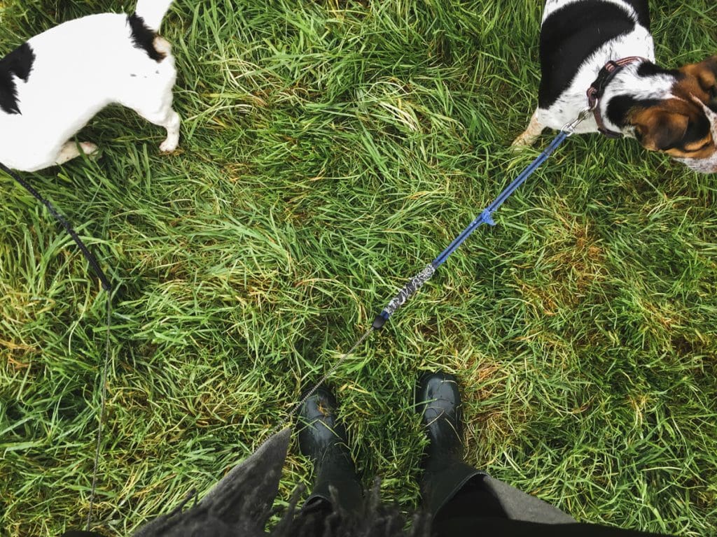 Why House-Sitting in Wales Was One of My Favorite Travel Experiences Ever