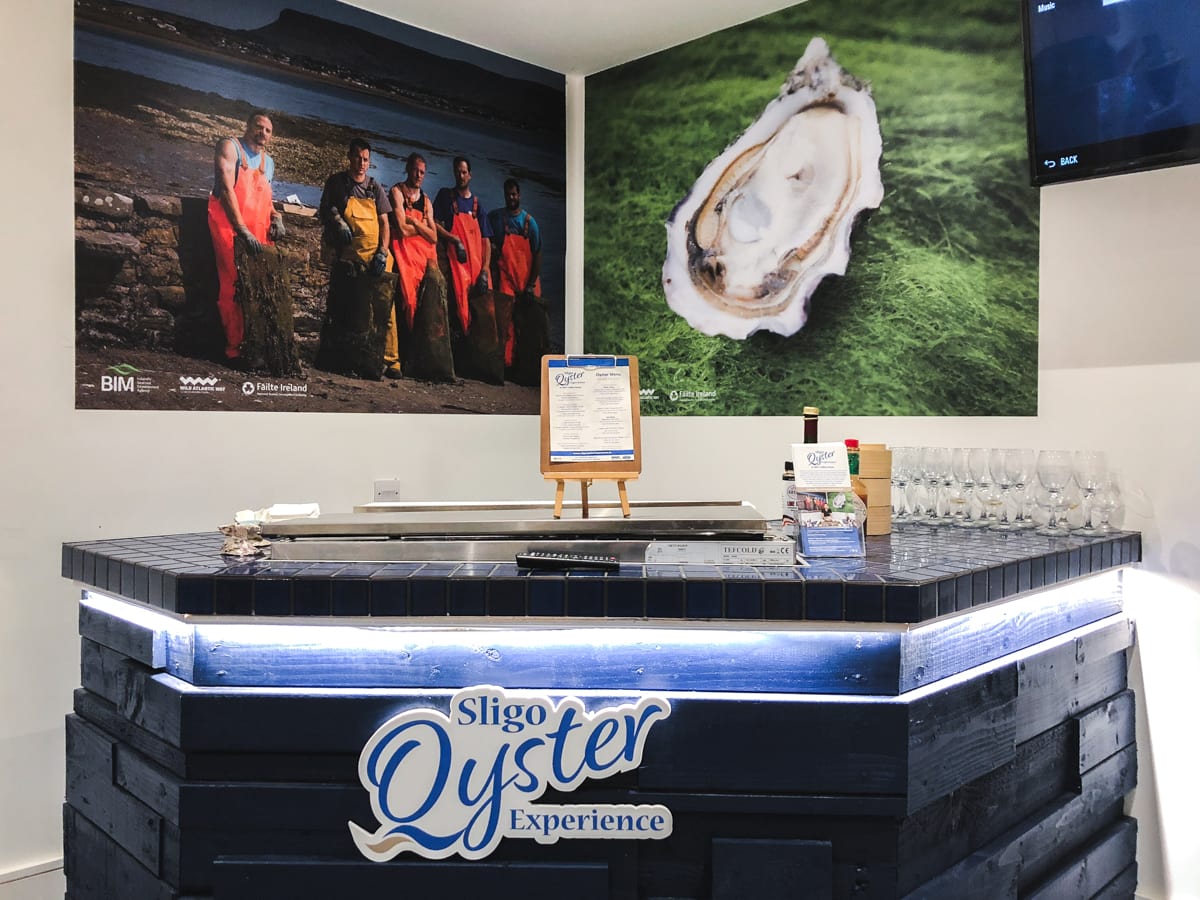 sligo oyster experience in sligo town ireland